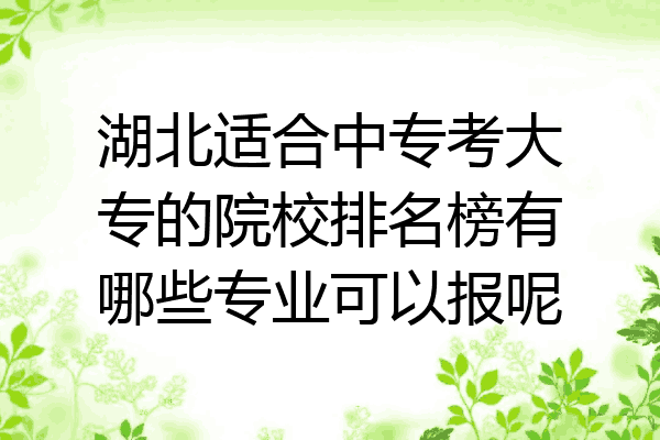湖北适合中专考大专的院校排名榜有哪些专业可以报呢