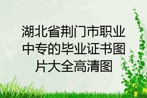 湖北省荆门市职业中专的毕业证书图片大全高清图