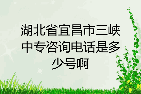 湖北省宜昌市三峡中专咨询电话是多少号啊