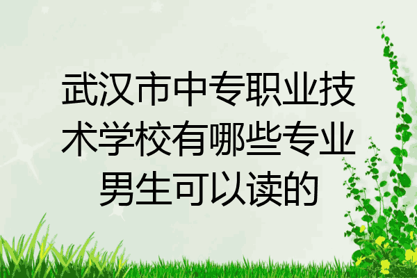 武汉市中专职业技术学校有哪些专业男生可以读的