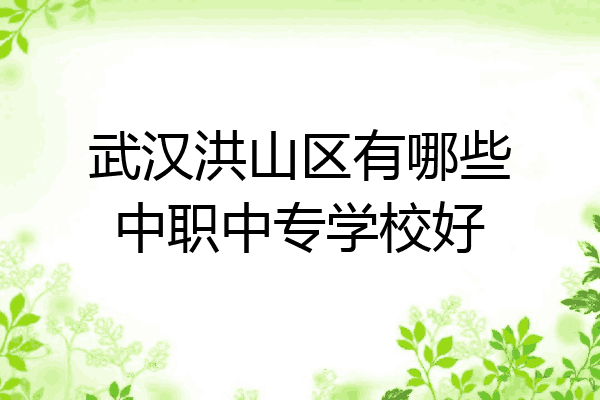 武汉洪山区有哪些中职中专学校好