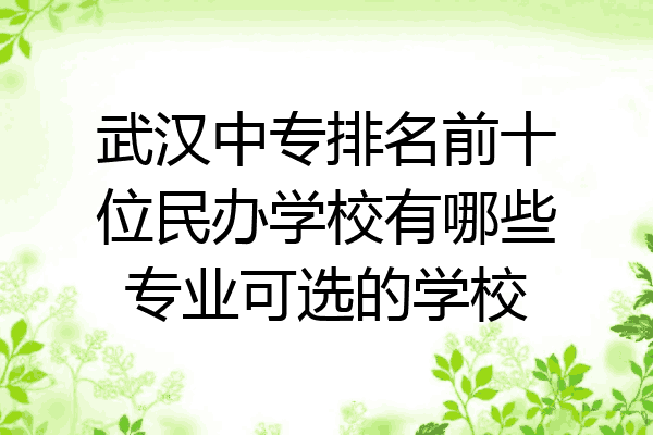 武汉中专排名前十位民办学校有哪些专业可选的学校