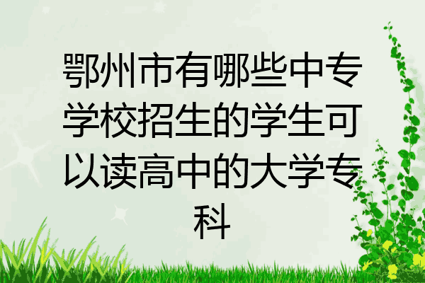 鄂州市有哪些中专学校招生的学生可以读高中的大学专科