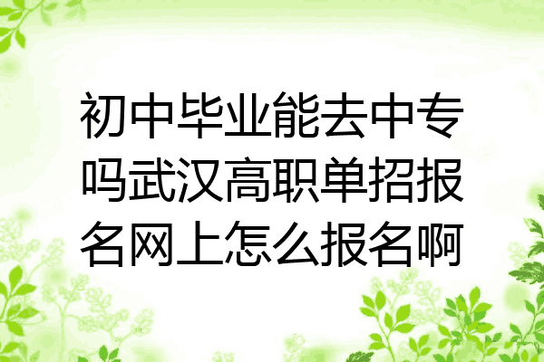 初中毕业能去中专吗武汉高职单招报名网上怎么报名啊