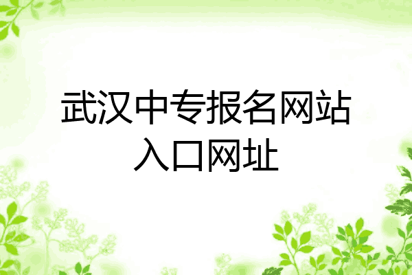 武汉中专报名网站入口网址