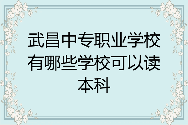 武昌中专职业学校有哪些学校可以读本科
