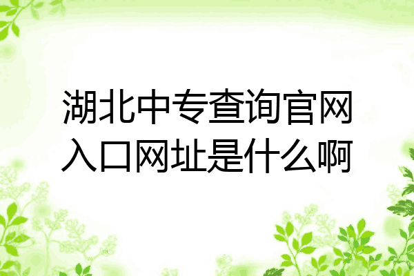 湖北中专查询官网入口网址是什么啊