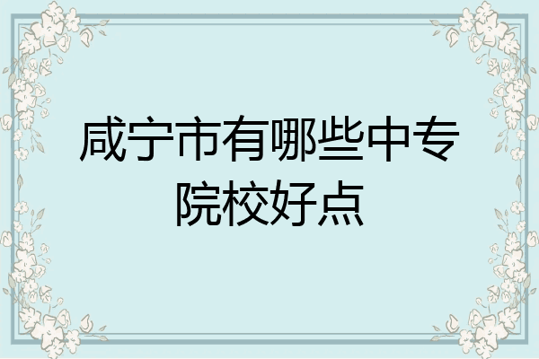 咸宁市有哪些中专院校好点