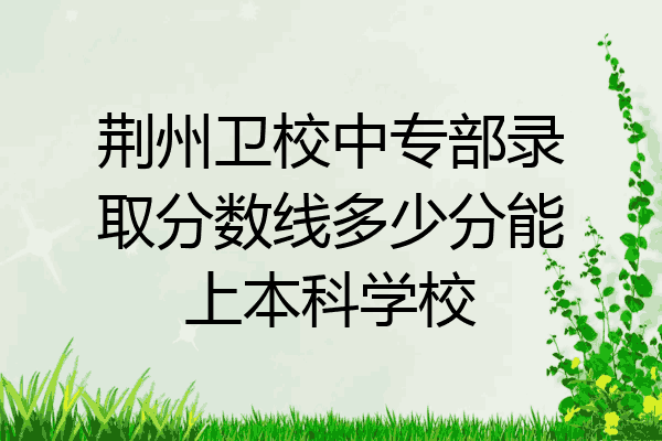 荆州卫校中专部录取分数线多少分能上本科学校