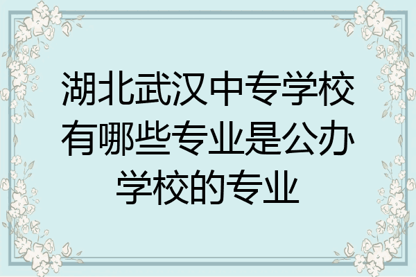 湖北武汉中专学校有哪些专业是公办学校的专业