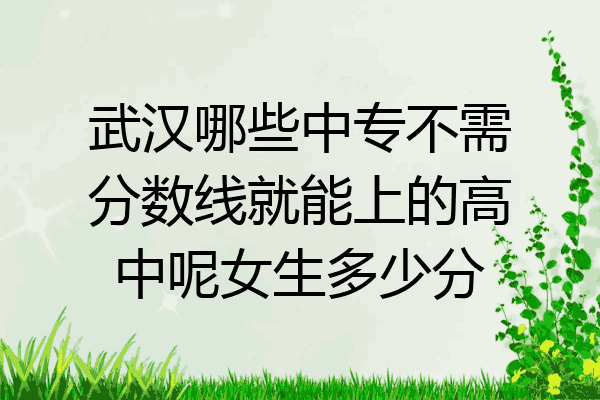 武汉哪些中专不需分数线就能上的高中呢女生多少分
