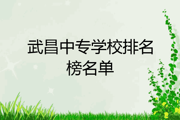 武昌中专学校排名榜名单