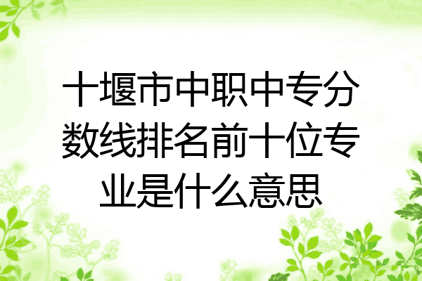十堰市中职中专分数线排名前十位专业是什么意思
