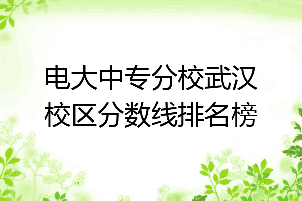 电大中专分校武汉校区分数线排名榜