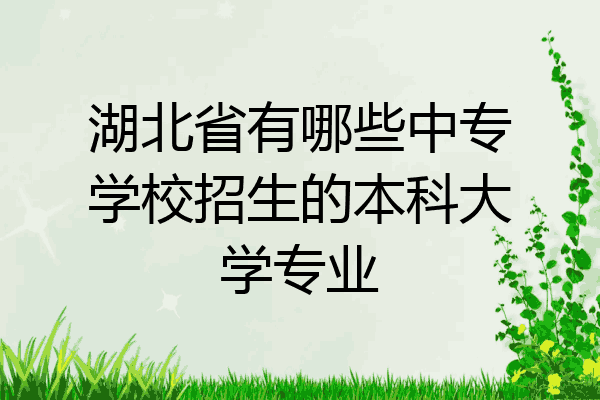 湖北省有哪些中专学校招生的本科大学专业