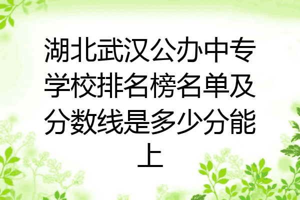 湖北武汉公办中专学校排名榜名单及分数线是多少分能上