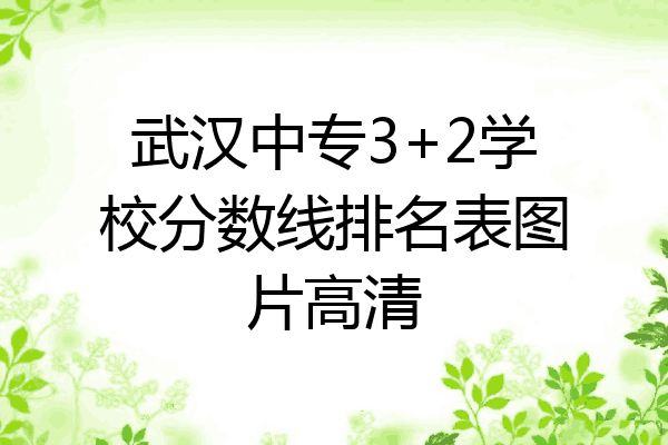 武汉中专3+2学校分数线排名表图片高清