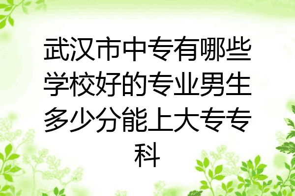 武汉市中专有哪些学校好的专业男生多少分能上大专专科