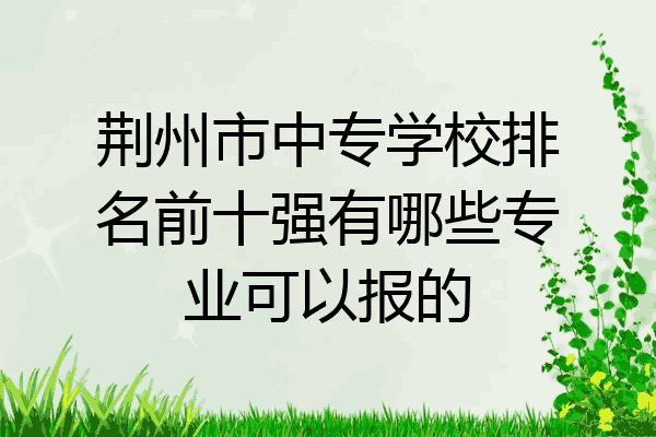 荆州市中专学校排名前十强有哪些专业可以报的