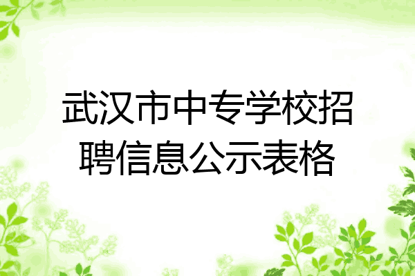武汉市中专学校招聘信息公示表格
