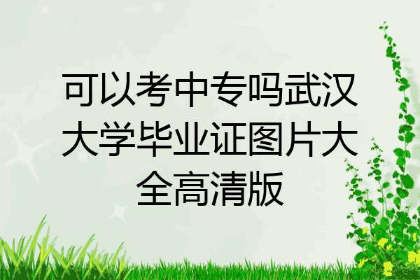 可以考中专吗武汉大学毕业证图片大全高清版