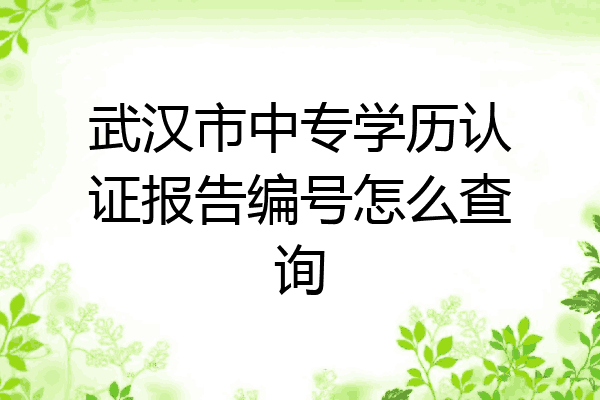 武汉市中专学历认证报告编号怎么查询