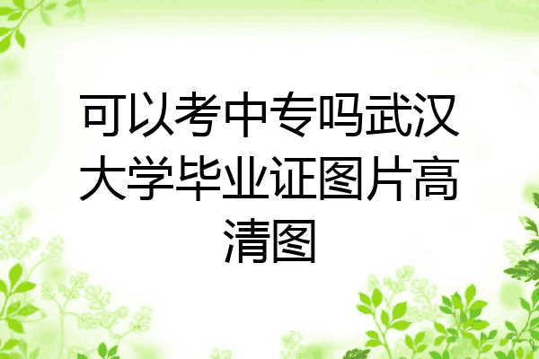 可以考中专吗武汉大学毕业证图片高清图