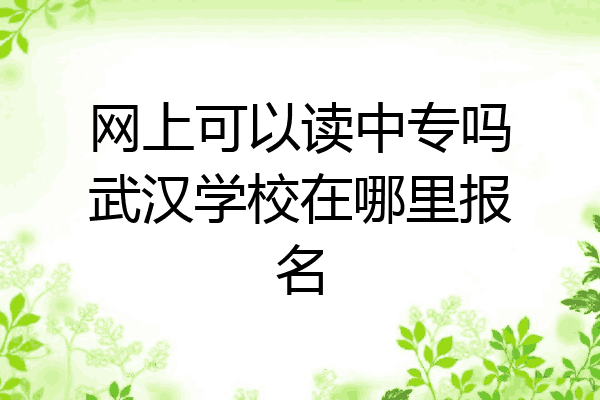 网上可以读中专吗武汉学校在哪里报名