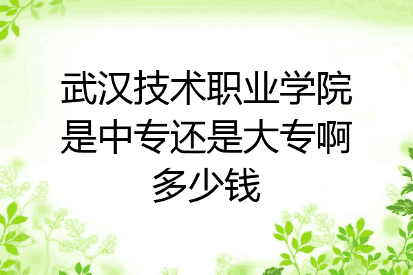 武汉技术职业学院是中专还是大专啊多少钱