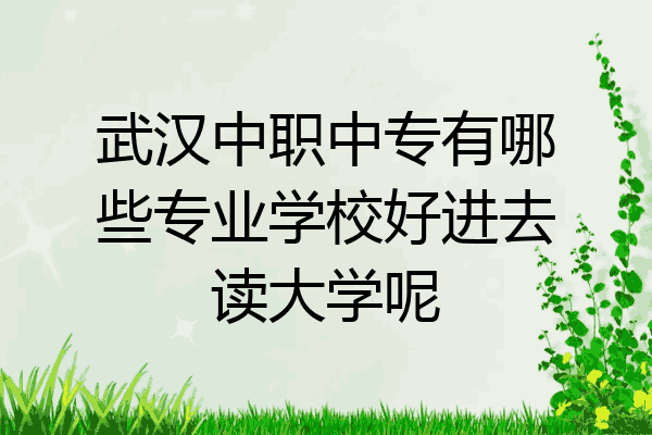 武汉中职中专有哪些专业学校好进去读大学呢