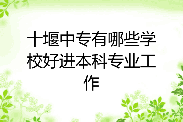 十堰中专有哪些学校好进本科专业工作