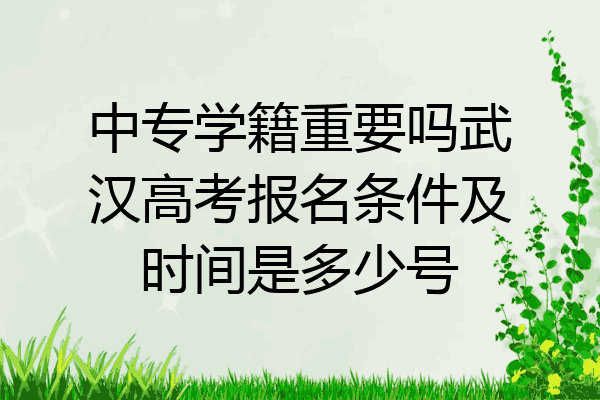 中专学籍重要吗武汉高考报名条件及时间是多少号
