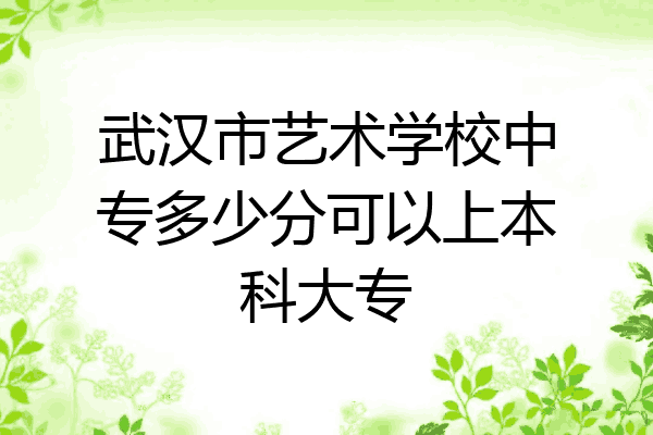 武汉市艺术学校中专多少分可以上本科大专