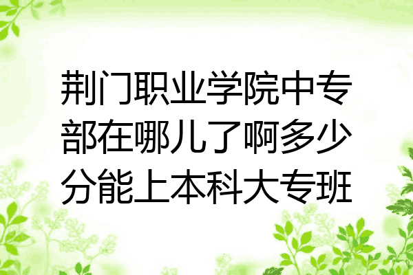 荆门职业学院中专部在哪儿了啊多少分能上本科大专班