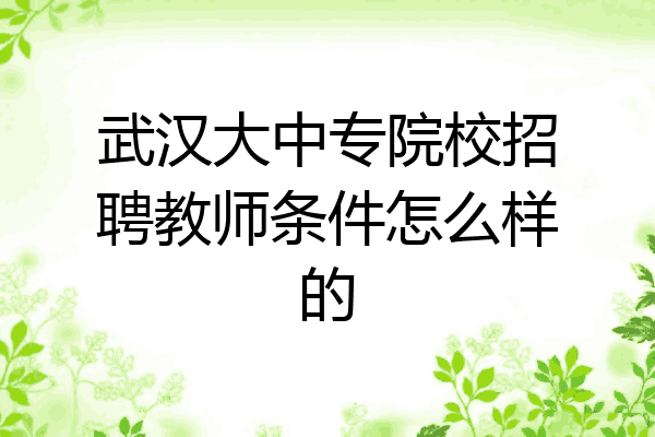 武汉大中专院校招聘教师条件怎么样的