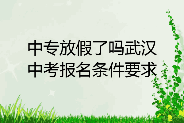 中专放假了吗武汉中考报名条件要求