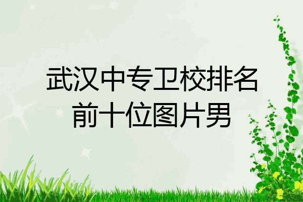 武汉中专卫校排名前十位图片男