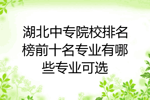 湖北中专院校排名榜前十名专业有哪些专业可选