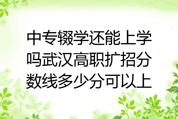 中专辍学还能上学吗武汉高职扩招分数线多少分可以上