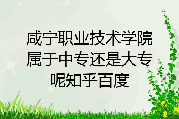 咸宁职业技术学院属于中专还是大专呢知乎百度