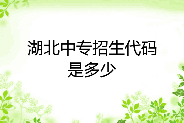 湖北中专招生代码是多少