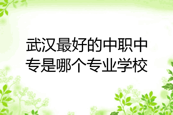 武汉最好的中职中专是哪个专业学校