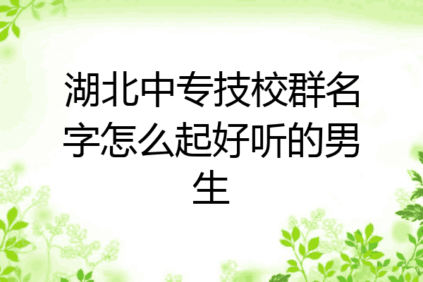 湖北中专技校群名字怎么起好听的男生