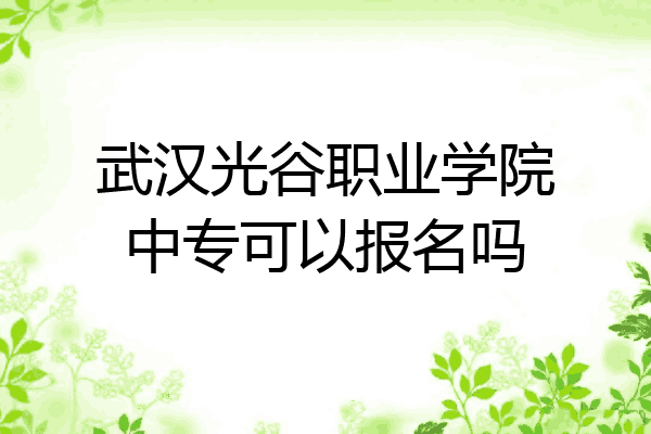 武汉光谷职业学院中专可以报名吗