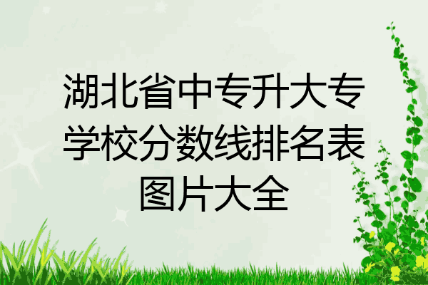 湖北省中专升大专学校分数线排名表图片大全