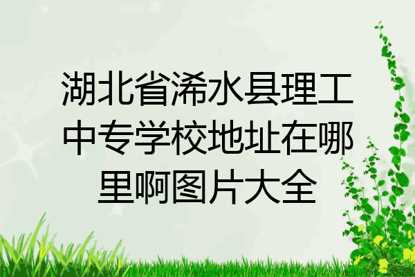 湖北省浠水县理工中专学校地址在哪里啊图片大全