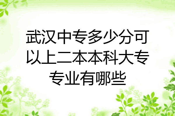 武汉中专多少分可以上二本本科大专专业有哪些