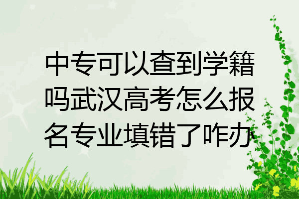 中专可以查到学籍吗武汉高考怎么报名专业填错了咋办