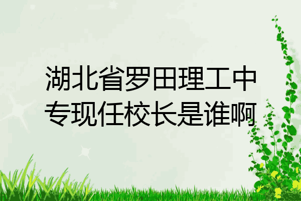 湖北省罗田理工中专现任校长是谁啊