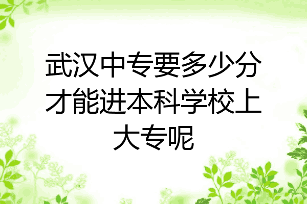 武汉中专要多少分才能进本科学校上大专呢